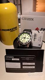 citizen promaster full lume