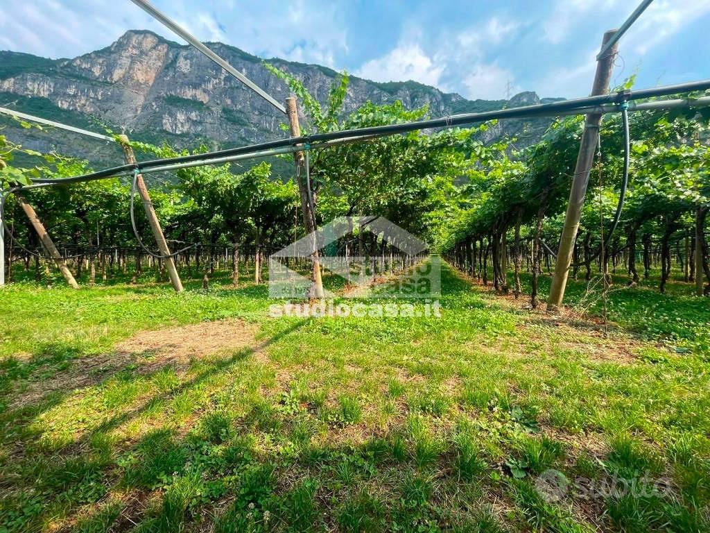 Terreno di 13552 m² a Volano - Vista 5