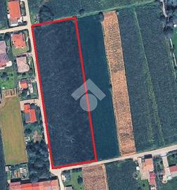 TERRENO A LORIA