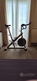 Cyclette Carnielli Fitness semi professionale 