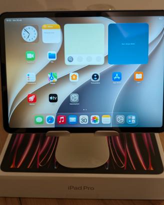 Ipad Pro 4th Gen WiFi + Cellular Batteria 95%