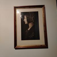 quadro riproduzione