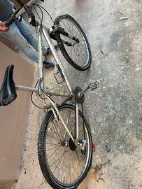 Bicicletta