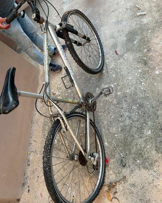 Bicicletta