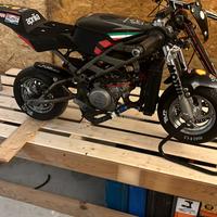 Minimoto blata motore bzm