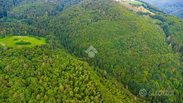 TER. AGRICOLO A BOSCO CHIESANUOVA