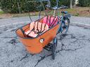 cargo-bike-modello-babboe-flow-electric-usata