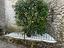 Immagine 29