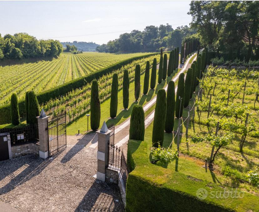Appartamento – Sommacampagna, Verona - Vista 2