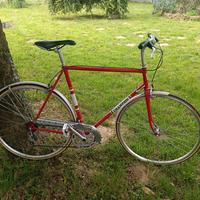 bicicletta Vintage uomo 