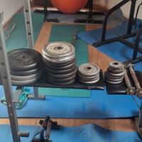 Ghisa - Pesi 28 mm e manubri (e bilanciere + EZ)