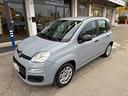 fiat-panda-1-0-firefly-s-s-hybrid-city-life-appl
