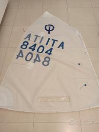 Vela Optimist Olimpic Sails Red