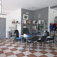 RECENTE NEGOZIO BEN FORNITO DI VETRINE