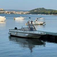 Barca 580,Mercury 40/60,carrello Cresci 10q.li