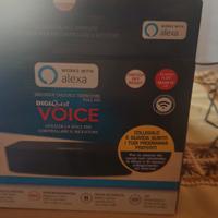 Decoder dvbt2 con assistente vocale Alexa