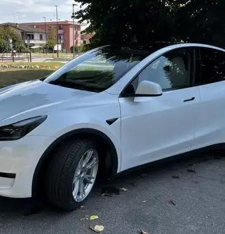 Tesla Model Y RWD