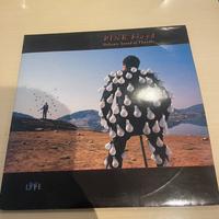 Vinile Pink froyd 33 giri