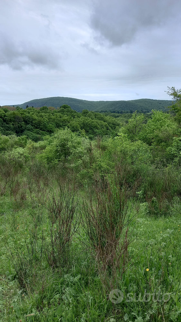 Terreno Agricolo - Vista 2