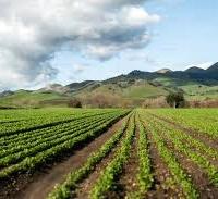 Terreno agricolo in Sabina (RI)