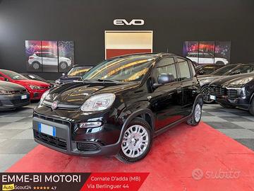 FIAT Panda 1.0 FireFly 70cv S&S Hybrid Pandina