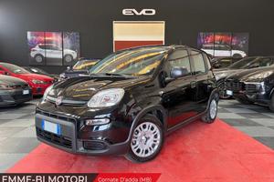 FIAT Panda 1.0 FireFly 70cv S&S Hybrid Pandina