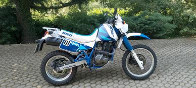 Suzuki DR 650 Djebel - 1990