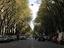 Immagine 29