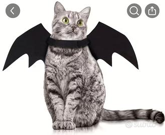 Ali da pipistrello per animali di piccola taglia