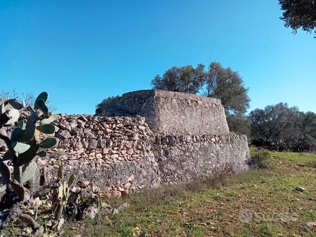 Trullo con terreno c.da Galeasi Grottaglie - Vista 5