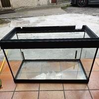 Acquario 100l compreso di tutto 