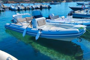 Joker Boat 650 Plus 7MT MERCURY 225 36 ore