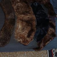 Sei colli di pelliccia. Visone e castorino 