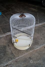Gabbia per canarini