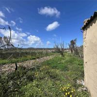 Terreno di 12000 mq con casa