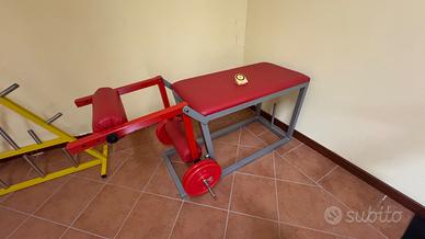 Macchina leg curl sdraiato palestra