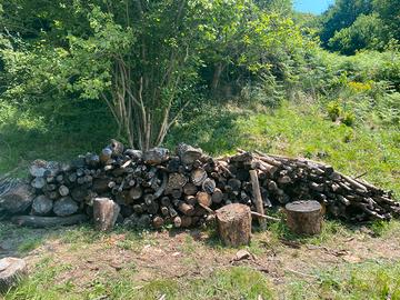 Legna mista da ardere. Rovere e faggio