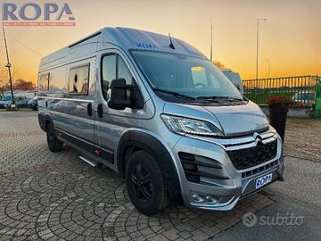 ROBETA APOLLO ( 2024 )