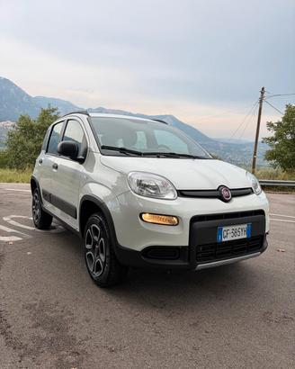 Fiat panda 4x4
