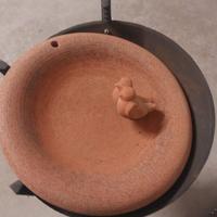 Abbeveratoio per uccelli vasi e cassettine verdi.