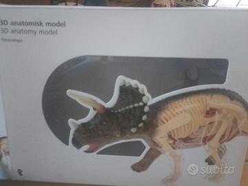 modello 3D anatomy