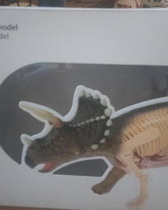 modello 3D anatomy