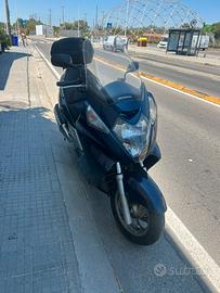 Silver wing 600