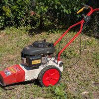 Tagliaerba decespugliatore su ruote Tekna TR50