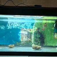 Acquario 60 litri +accessori 