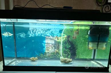 Acquario 60 litri +accessori 
