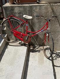 Bicicletta  winnebago
