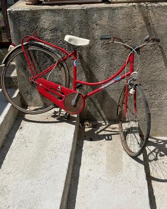 Bicicletta  winnebago
