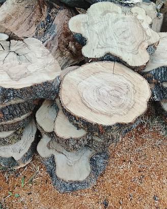 ulivo olivo ruote legno