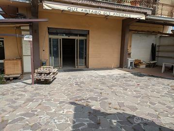 Negozio Monterotondo [Cod. rif 3234000VCG]